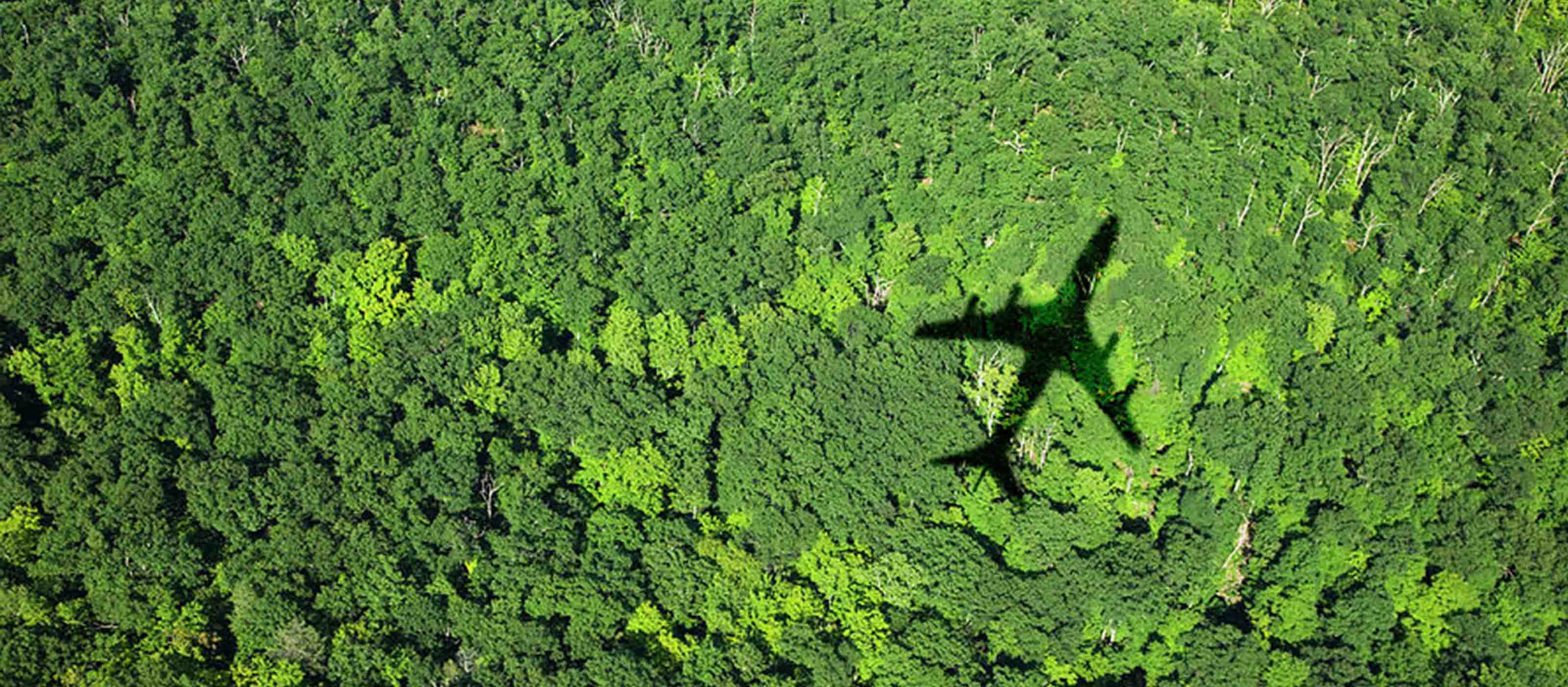 Aviation Sustainable collatoration